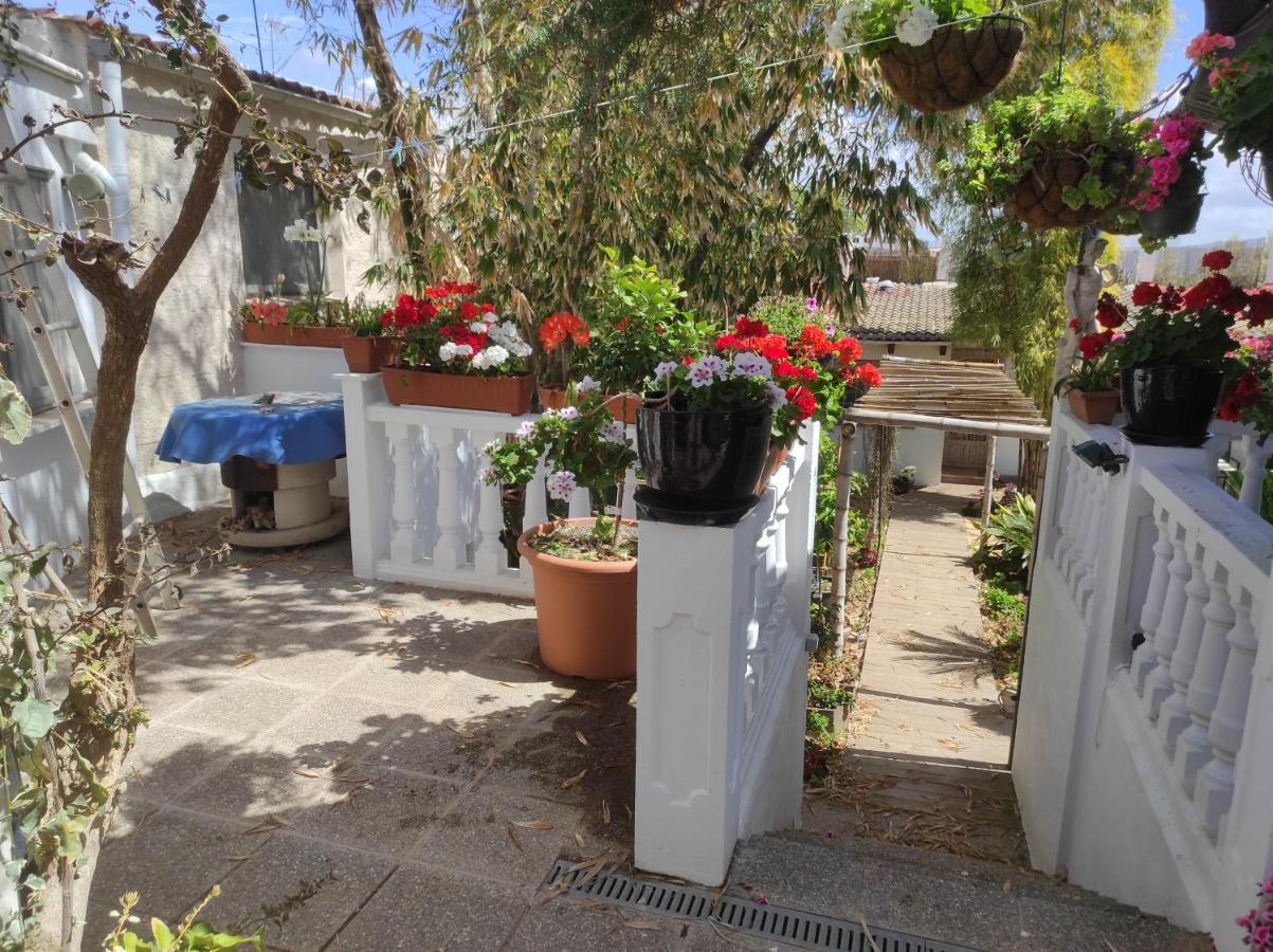 Apartamento The Green House - Adults Only Palma de Maiorca