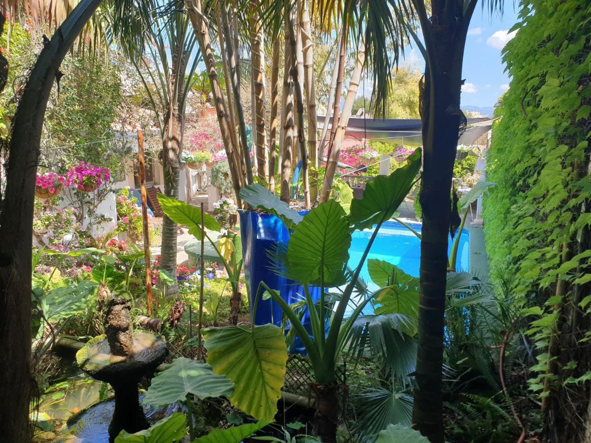 The Green House - Adults Only Palma de Maiorca